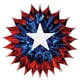 thumbnail image 1 of Accesorio para fiestas Beistle Patriotic Fan-Burst (rojo, blanco, azul), 1 of 2