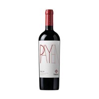 Tabali - Vino Payen Syrah , 750 Ml, 14.5%