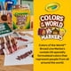 thumbnail image 5 of Rotuladores Crayola Colors of The World Skin Tone, 24 unidades, 5 of 8