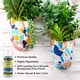 thumbnail image 3 of Set de pintura DecoArt Patio Outdoor 24 colores 59 ml, 3 of 6