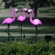 thumbnail image 1 of 3pcs Garden Outdoor Flamingo LED Stake Lights Solar Powered Waterproof For Garden, Lawn, Patio, Pond, Backyard Decor, Halloween Decorations Lights Outdoor, 1 of 4