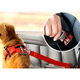 thumbnail image 2 of Correa cinturón de seguridad para perro y gatos - en auto, 2 of 3