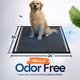 thumbnail image 4 of Almohadilla de adiestramiento para perros Puppy Pads Healqu, 50 unidades, 60 x 60 cm, color negro, 4 of 8