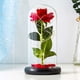 thumbnail image 3 of Caja de regalo de rosas de La Bella y la Bestia, rosas eternas, rosa de seda roja y luz LED para decoración del hogar, cumpleaños, boda, día de San Valentín, día de la madre, cumpleaños, día, 3 of 4