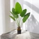 thumbnail image 1 of Planta Artificial Decorativa Arbol Grande Ave Paraiso 120cm, 1 of 9