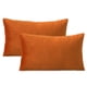 thumbnail image 1 of Funda de almohada de terciopelo con cremallera, funda de almohada de franela de felpa súper suave y cómoda con cremallera, 1 of 5