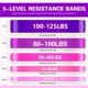 thumbnail image 2 of Bandas de Resistencia JAKKOFOXX 5 Niveles 5-57 kg Set, 2 of 6