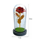 thumbnail image 1 of Rosa eterna roja lámpara adorno bella y bestia, 1 of 3
