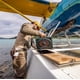 thumbnail image 3 of Altavoz Bluetooth Turtlebox Original Gen 3 impermeable verde, 3 of 9