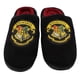thumbnail image 1 of Pantufla Harry Potter C1 Talla Xl, 1 of 3