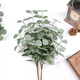 thumbnail image 2 of Planta artificial eucalipto decoración hogar, 2 of 3