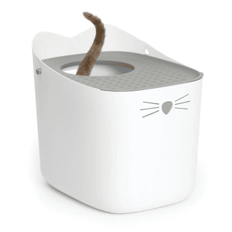 Pixi Baño Cerrado Gatos