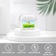 thumbnail image 3 of Pato Y Ganso theme Airpods Pro Earphone Case Compatible With Apple Devices Premium Flexible Tpu Theme Custom, 3 of 6
