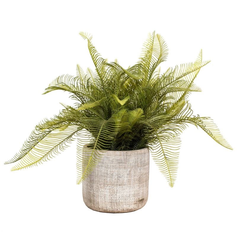 The Garden - Planta Artificial Helecho Asplenium