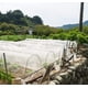 thumbnail image 4 of Malla protectora para jardín Garden Tailor 1,2 x 3 m, barrera contra plagas, 4 of 9