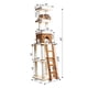 thumbnail image 3 of Cat Tower Armarkat X8303, madera auténtica, color beige, 84 cm de altura, para gatos, 3 of 9