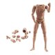 thumbnail image 2 of Escala 1: 6 Cuerpo Desnudo Masculino Posible 28 Articulaciones Movibles 12 "Figura De Acción Trigo, 2 of 5