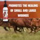 thumbnail image 3 of Spray cicatrizante Kawell USA Dragon’s Blood 100 ml para cuidado animal, 3 of 7