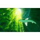 thumbnail image 5 of Videojuego ABZU de 505 Games (PS4), 5 of 5