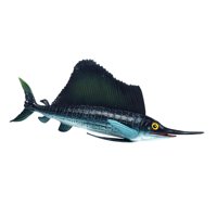 Magideal - Colección De Figuras De Animales Marinos Realistas, Juguete Educativo De Ciencia, Juego De Peces, Modelo De Juego Para Niños Pequeños, Regalo Para Niñ Pez Vela