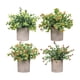 thumbnail image 4 of 4 Piezas De Pequeñas Plantas Falsas En Macetas Pequeñas Para Estante De Escritorio Estilo Hogareño, 4 of 5