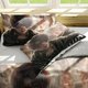 thumbnail image 4 of Invad-e on Tita-n Eren Levy-i Anime Soft-t 3D Printe -- d Duvet Co-ver Bedding- Set with -Co-mfort-er Cover, 4 of 5