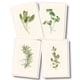 thumbnail image 1 of Juego de tarjetas de notas Earth Sky + Water – 8 tarjetas 9 × 13 cm, 1 of 6