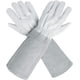 thumbnail image 2 of Guantes de jardinería de cuero para hombres y mujeres (con protección contra espinas), ideales para jardineros y agricultores., 2 of 7