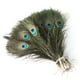 thumbnail image 1 of 10PCS Plumas Pavo Real Naturales Decoración Artesanía 40-50 Cms para decorar jarrones., 1 of 3