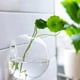thumbnail image 3 of Flores De Vidrio Colgantes Planta Florero Botella Terrario Contenedor Maceta Hidropónica F, 3 of 3