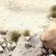 thumbnail image 2 of Ground Textures Vallejo Diorama FX Grey Sand, 200 ml, acrílico, 2 of 5