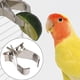 thumbnail image 5 of Pinza para frutas y verduras de loro, jaula para pájaros, soporte para comida, pinza ligera para alimentación de pájaros, dispositivo alimentador para periquitos, animales pequeños, 5 of 7