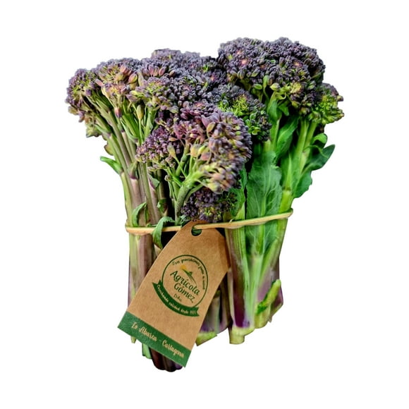 Brocolini Purpura, 1 Un