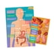 thumbnail image 2 of Laminas Magnéticas Adetec Interactivas Cuerpo Humano, 2 of 2