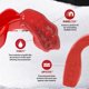 thumbnail image 4 of Protector bucal SAFEJAWZ Slim Fit rojo con estuche, 4 of 7