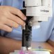 thumbnail image 4 of Microscopio estereoscópico binocular AmScope Kids SE100-LED 20X, 4 of 7
