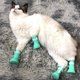 thumbnail image 4 of Zapatos para gatos resistentes a arañazos, guantes de goma ajustables, protección contra garras, baño y afeitado, 4 piezas, 4 of 5