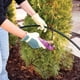 thumbnail image 4 of Tubo de riego por goteo Rain Bird T22-250S, rollo de 76 m, negro, 4 of 4