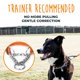 thumbnail image 2 of Collar para perro Mighty Paw Martingale grande naranja, 2 of 9