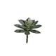 thumbnail image 1 of Suculenta Echeverria Gris 14cm, 1 of 2