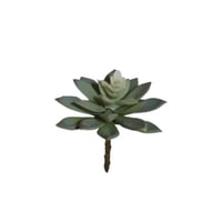 Corel - Suculenta Echeverria Gris 14Cm