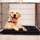thumbnail image 2 of Camas De Perro Indestructibles A Prueba De Masticación Para Masticadores Agresivos almohadilla De Caja De Perro Duradera alfombrillas Para Mascotas Duras Lavables Para Perro negro s 43 * 58c, 2 of 3