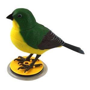 Magideal - Control De Voz Pájaro Operado Por Batería Loro Juguete Música Juguetes Educativos Niños Loro Parlante Lindo Cantando Pájaro Electrónico Juguete Color Aleatorio C