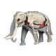 thumbnail image 5 of Modelo De Cuerpo Animal Para El Aprendizaje, Material Didáctico Para Niños Que Estudian En Casa (3109), 5 of 5