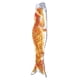 thumbnail image 1 of Manga De Viento Japonesa Carpa Bandera Jardín Koi Nobori Pez Vela 110cm Naranja Dorado, 1 of 3