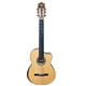 thumbnail image 1 of Guitarra electroacustica PALMER PC-19 SEQN, 1 of 4