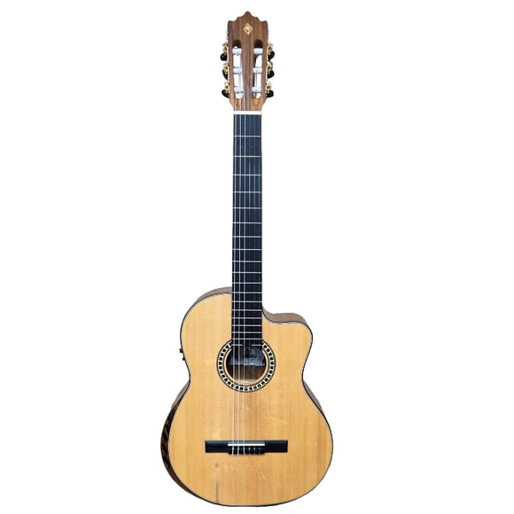 Guitarra electroacustica PALMER PC-19 SEQN