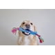 thumbnail image 3 of Juguete de masticar para perros Petstages Orka Stick duradero y flotante, 3 of 4