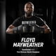 thumbnail image 2 of Guantes de boxeo Hayabusa Mayweather Contender 14 oz negro/dorado, 2 of 7