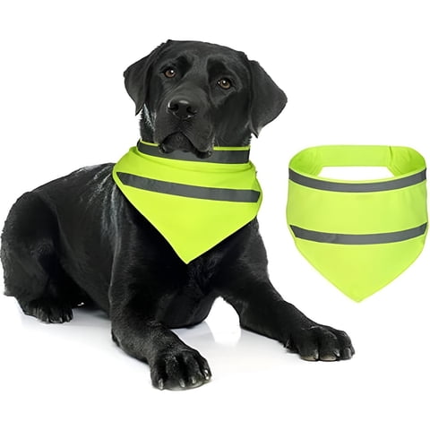 Genérica - Bandana Reflectante Para Perros Y Gatos. Pañoleta De Mascota Verde